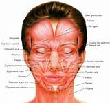 Facial Muscle Exercises Images