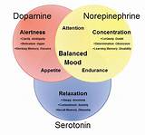 Photos of Serotonin Medication For Anxiety