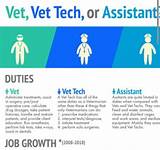 Images of Vet Assistant Salary