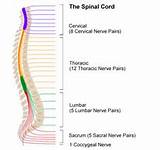 Photos of Spinal Cord Injury Hospital