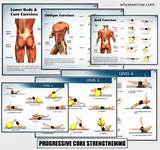 Pictures of Core Muscle Strengthening Exercises For Back