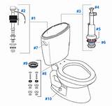 Mansfield Toilet Repair Kit Images