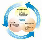 Overview Of Payroll Management System