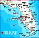 Images of Florida Pest Control