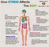 Anxiety Vs Stress Pictures