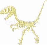 Dinosaur Fossil Cartoon Photos