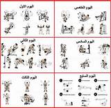Pictures of Exercise Routine Bodybuilding