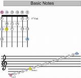 Images of Basic Bass Guitar Notes