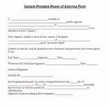 Power Of Attorney Blank Form Print For Free Photos