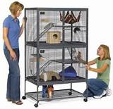 Cheap Critter Nation Cage