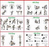 Images of Bodybuilding Training Program For Beginners