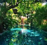 Photos of Pool Landscaping Tropical