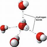Hydrogen And Oxygen Bond Pictures