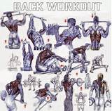Images of Muscle Workout Back