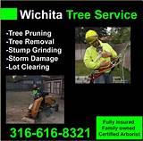 Tree Service Wichita Ks Pictures