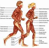 Images of Running Core Muscles