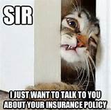 Insurance Policy Jokes