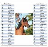 Pictures of Famous Racing Horse Names