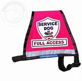 Service Dog Products Images