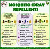 Insect Control Home Remedies Pictures