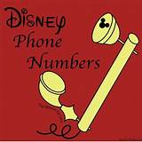 Walt Disney Resort Reservations Phone Number Photos