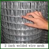 Pictures of 10 Gauge Welded Wire Fence