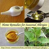Images of Natural Treatment For Seasonal Allergies