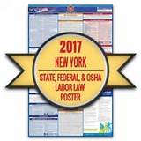 New York State Employee Payroll Pictures