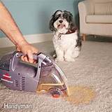 Eliminate Wet Carpet Odor Photos