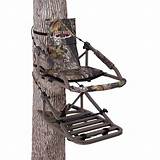 Photos of Discount Climbing Tree Stands