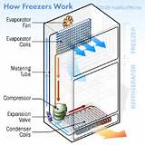 Images of How Cold Is Refrigerator Supposed To Be