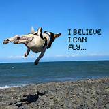 I Believe I Can Fly Images