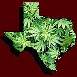 Texas Marijuana Images