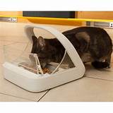 Chip Activated Cat Feeder Images