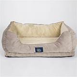 Serta Dog Bed Covers Pictures