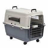 Images of Extra Large Pet Carrier Airline Approved