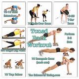 Back Muscle Exercises Pictures