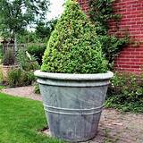 Extra Large Flower Planters Images