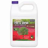 Pictures of Tree And Shrub Insect Control