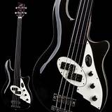 Pictures of Fretless Bass Guitars