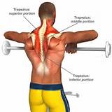 Trapezius Muscle Strengthening Photos