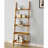 Book Shelves With Ladder