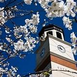 Western Kentucky University Application Deadline Pictures