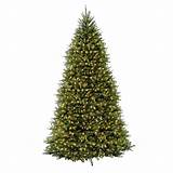 Pictures of National Tree Company 12 Ft Pre Lit Dunhill Fir