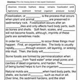Photos of Fossils Worksheet