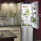 Best Tall Skinny Refrigerator