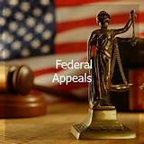 Lawyers That Handle Federal Cases