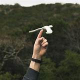 Pictures of Balancing Bird On Finger