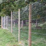 Electric Fence For Mice Images