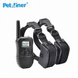 Shock Collar For Dogs With Remote Control Pictures